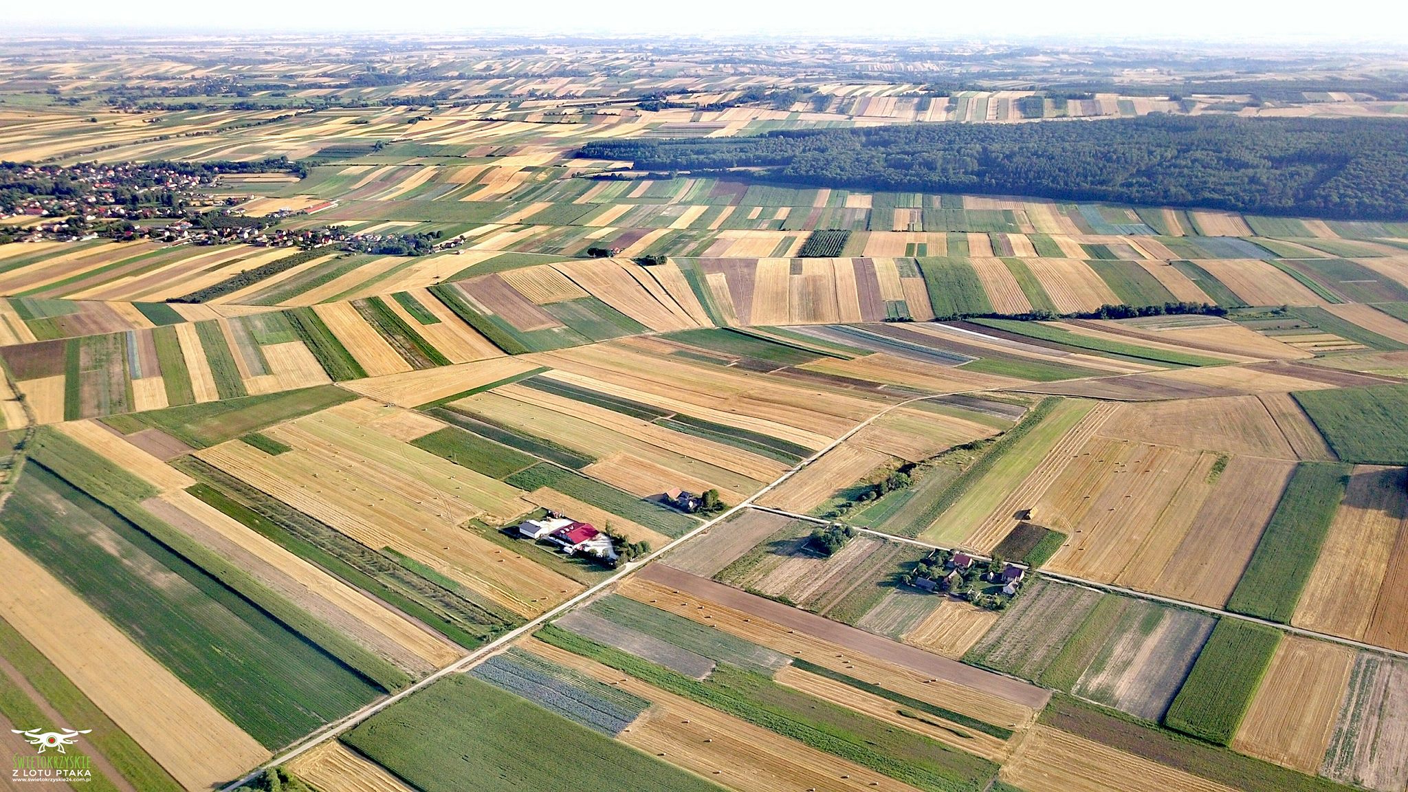 Výrobný závod AGROPOLE – sušená zelenina, bylinky, korenia